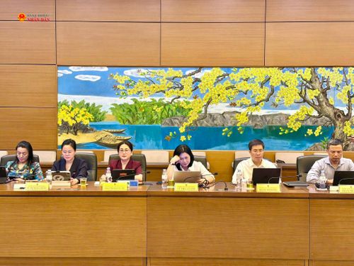 Các ĐBQH tham dự phiên thảo luận tổ