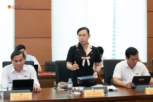 ĐBQH Phan Thị Mỹ Dung (Tây Ninh) phát biểu. Ảnh: Lâm Hiển