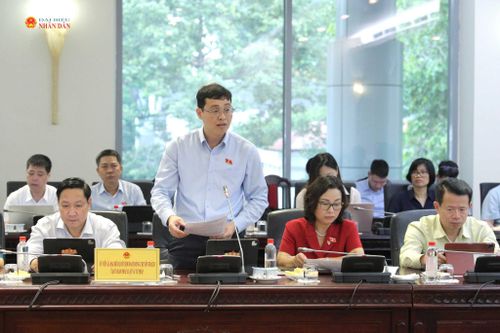 ĐBQH hoạt động chuyên trách tại Ủy ban Pháp luật và Tư pháp Đỗ Đức Hiển phát biểu