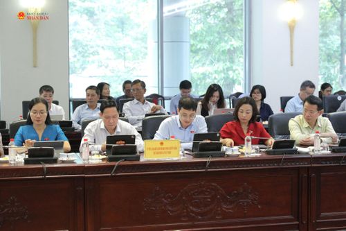 Các đại biểu dự phiên họp