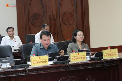 Các đại biểu dự phiên họp