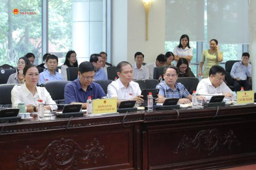 Các đại biểu dự phiên họp
