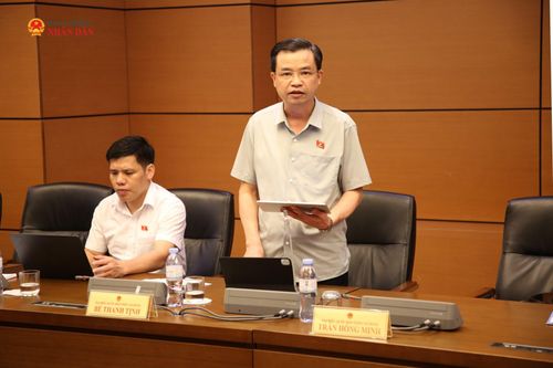 ĐBQH Bế Thanh Tịnh (Cao Bằng) phát biểu. Ảnh: Đắc Trường