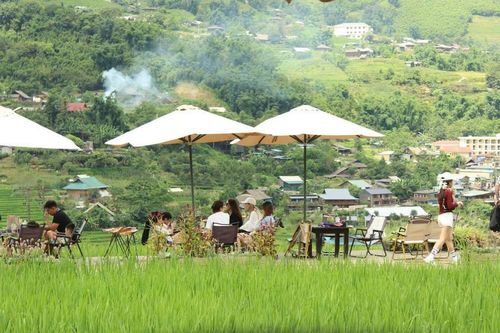 Không khí trong lành, mát mẻ. Ảnh: NH
