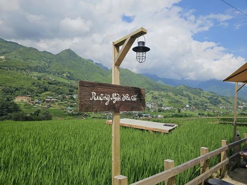 Không gian quán được kiến tạo từ gỗ, tre, nứa...Ảnh: Tuệ Nhi