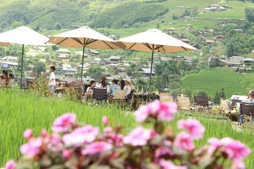 Sa Pa được thiên nhiên ưu ái ban tặng cảnh sắc hùng vĩ và khí hậu ôn hòa. Ảnh: NH