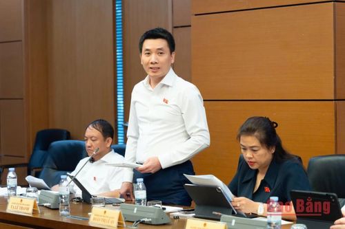 Đại biểu Tạ Lê Thanh, Ủy viên chuyên trách Ủy ban Kinh tế và Tài chính của Quốc hội, Đoàn đại biểu Quốc hội tỉnh phát biểu thảo luận tại tổ.