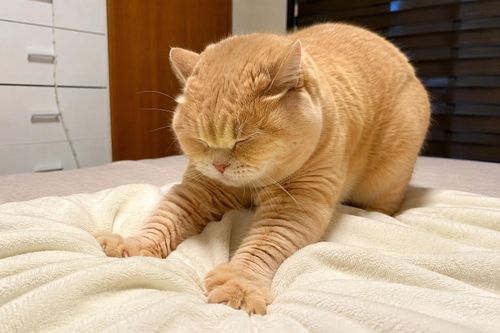 Cách thể hiện tình cảm với con người. Ảnh minh họa.