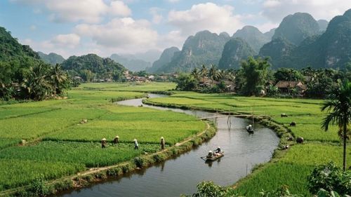 1 sào ruộng bằng bao nhiêu mét vuông lại không có đáp án duy nhất, mà biến thiên chặt chẽ theo quy ước lịch sử, địa lý của từng vùng miền tại Việt Nam. (Ảnh: IG)