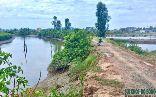 Sạt lở và xuống cấp tại nhiều vị trí trên tuyến đê dọc sông Mơ, xã Quỳnh Anh khiến người dân lo ngại mỗi khi mưa lũ xảy ra. (Ảnh: Song Hoàng)