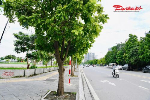 Phố Nguyễn Hữu An có chiều dài khoảng 830 m, mặt cắt ngang 25 m, gồm lòng đường rộng 15 m và vỉa hè mỗi bên rộng 5 m. Hệ thống mặt đường, vỉa hè, cây xanh và chiếu sáng được đầu tư đồng bộ, góp phần cải thiện khả năng kết nối giao thông, đồng thời tạo cảnh quan khang trang cho khu vực.