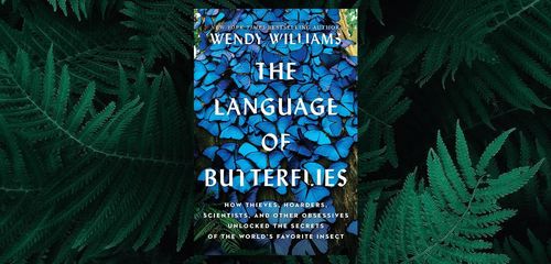 Cuốn Ngôn ngữ của loài bướm (The Language of Butterflies) vừa là lời ca ngợi loài côn trùng sặc sỡ này vừa là lời tri ân tới các nhà khoa học và những người say mê nghiên cứu chúng. Ảnh: Chicago Review of Books.