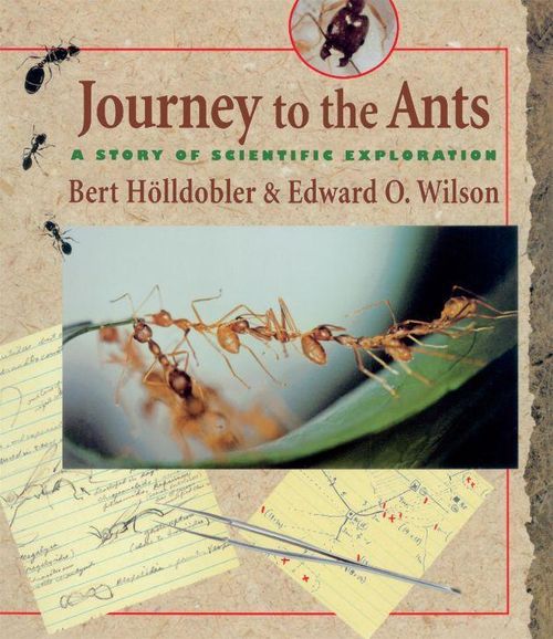 Quyển Hành trình vào thế giới loài kiến của hai nhà côn trùng học Bert Hölldobler và Edward O. Wilson. Ảnh: Harvard University Press.