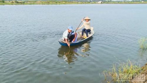 Người dân kiểm tra sinh trưởng của con tôm trong cánh đồng. (Ảnh: Văn Út)