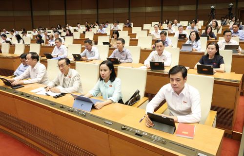  Đại biểu Quốc hội dự họp. Ảnh: QUANG PHÚC 