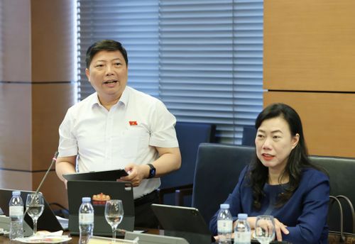 ĐB Nguyễn Vũ Trung phát biểu tại phiên họp tổ ĐB Quốc hội TPHCM. Ảnh: QUANG PHÚC