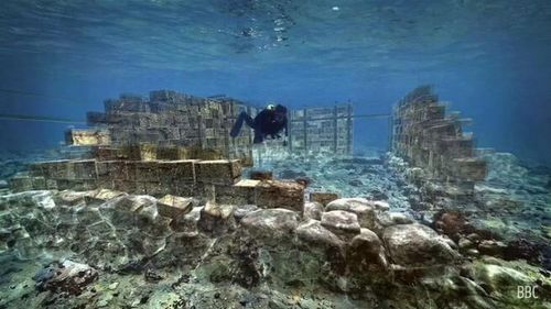 Ảnh: Scuba Diving Magazine