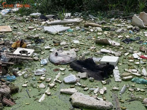 Nước trong mương chuyển màu đen, bùn lắng dày đặc, nhiều đoạn gần như không còn khả năng lưu thông. Vào những ngày nắng nóng, khu vực này thường xuyên bốc mùi hôi, ảnh hưởng trực tiếp đến các hộ dân sinh sống hai bên tuyến mương.