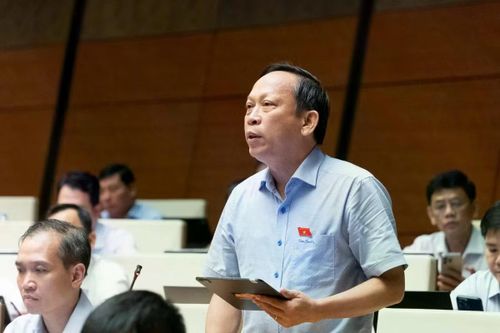 Đại biểu Quốc hội tỉnh Tây Ninh Nguyễn Đình Xuân.