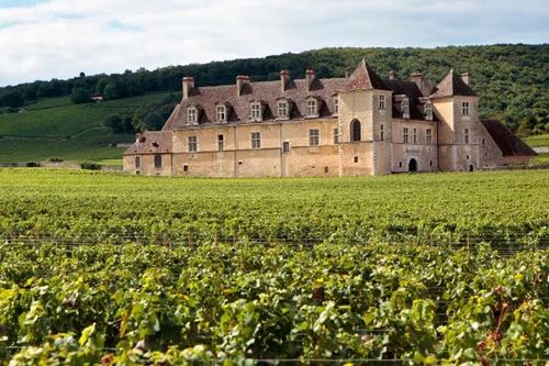Tranh chấp điền trang Château Miraval vẫn chưa kết thúc sau 4 năm.