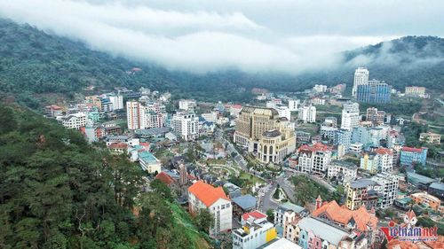 Khu du lịch Tam Đảo