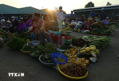 Hàng hóa ở chợ chủ yếu là “cây nhà lá vườn” như rau đồng, trái cây trong vườn người dân trồng được đem ra chợ bán. (Ảnh: Duy Khương/TTXVN)