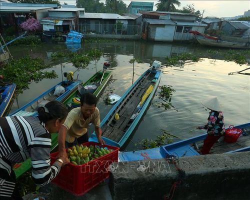 Nét đặc trưng vùng sông nước Đồng bằng sông Cửu Long nơi khu chợ.