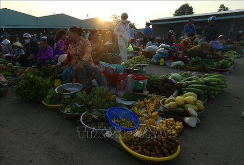 Hàng hóa ở chợ chủ yếu là “cây nhà lá vườn” như rau đồng, trái cây trong vườn người dân trồng được đem ra chợ bán…