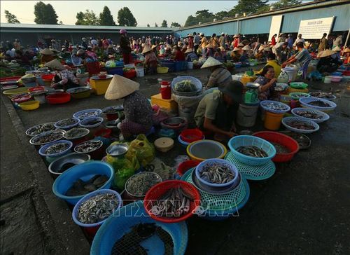 Đặc sản sông nước nơi khu chợ.