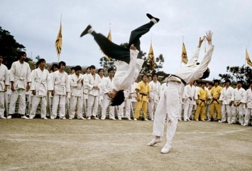 Chỉ với vài năm hoạt động nghệ thuật, Lý Tiểu Long đã tạo nên di sản kéo dài hơn nửa thế kỷ.