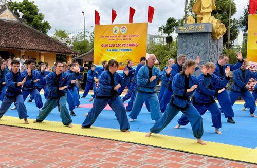 Màn trình diễn đẹp mắt của các võ sinh môn phái Sơn Long Quyền Thuật (Thụy Sỹ) tại di tích An Khê Trường (phường An Khê). Ảnh: N.C