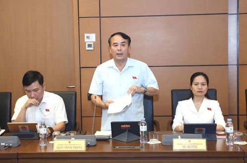 ĐB Trần Minh Trọng cho rằng việc coi ký tên là nghĩa vụ bắt buộc chưa thật sự phù hợp. Ảnh: Đoàn ĐBQH tỉnh Gia Lai