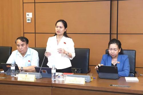 ĐB Siu Hương đồng tình cao với việc quy định hiện hành “Nhà nước hỗ trợ kinh phí” được sửa đổi thành “Nhà nước bảo đảm kinh phí” từ nguồn ngân sách nhà nước. Ảnh: Đoàn ĐBQH tỉnh Gia Lai