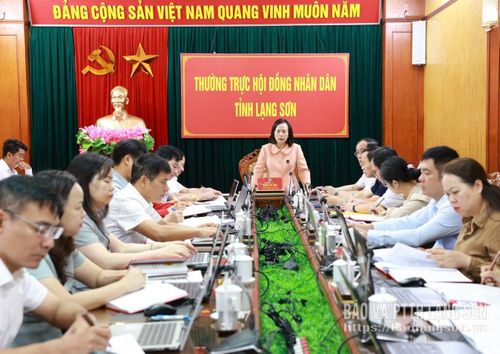 Đồng chí Đoàn Thị Hậu, Phó Bí thư Thường trực Tỉnh ủy, Chủ tịch HĐND tỉnh phát biểu kết luận phiên họp