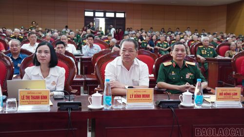 Các đồng chí lãnh đạo Trung ương Hội Nạn nhân chất độc da cam và lãnh đạo tỉnh Lào Cai tham dự chương trình.