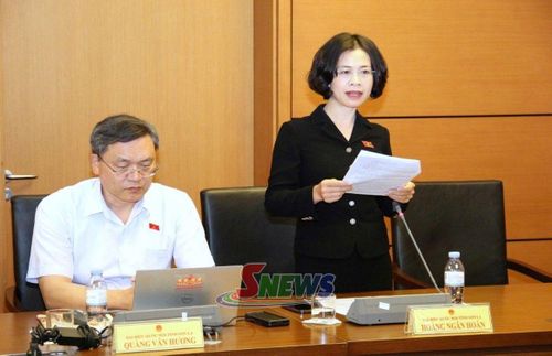 Đại biểu Hoàng Ngân Hoàn phát biểu.