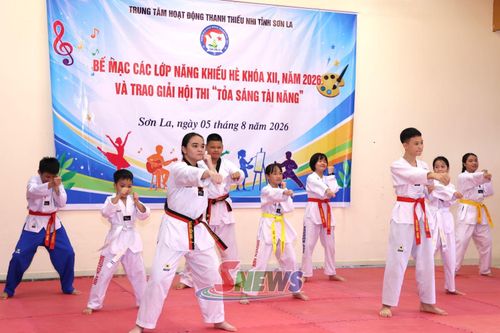 Học sinh lớp Taekwondo biểu diễn tại chương trình.
