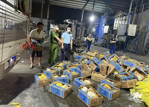 Quản lí thị trường tỉnh Thái Nguyên kiểm tra xử lí hộ kinh doanh trái cây nhập khẩu không rõ nguồn gốc.