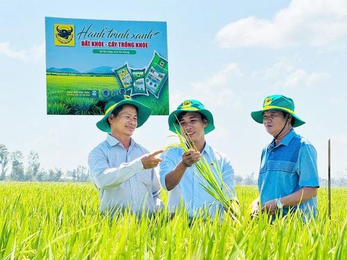  Ông Võ Hoàng Lưỡng (bìa phải) cùng nông dân và cán bộ kỹ thuật Công ty Cổ phần Phân bón Bình Điền trao đổi, đánh giá sự phát triển của ruộng lúa tham gia mô hình "Hành trình Xanh - Đất khỏe, cây trồng khỏe", hướng đến giảm chi phí và nâng cao hiệu quả sản xuất 
