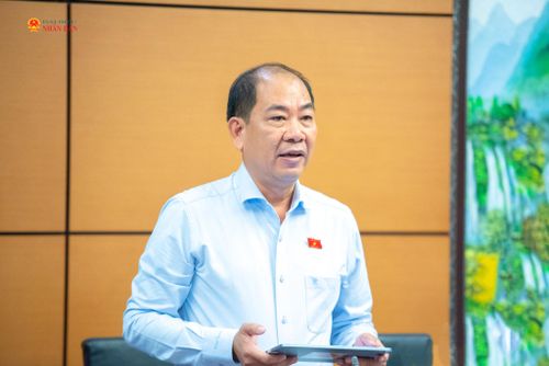 ĐBQH Nguyễn Việt Thắng (An Giang) phát biểu