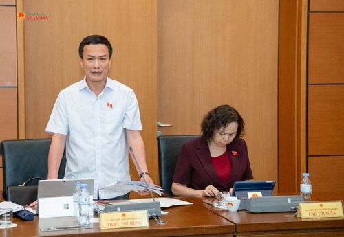 ĐBQH Triệu Thế Hùng (Thanh Hóa) phát biểu. Ảnh: Lâm Hiển