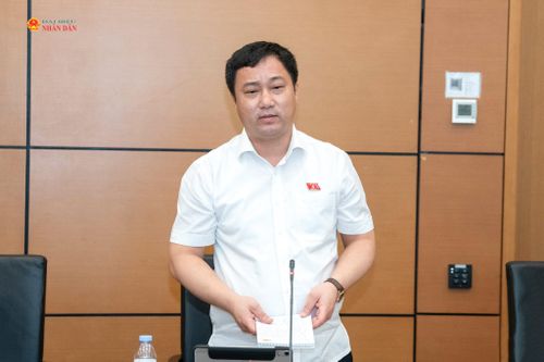 ĐBQH Cao Mạnh Linh (Thanh Hóa) phát biểu. Ảnh: Lâm Hiển