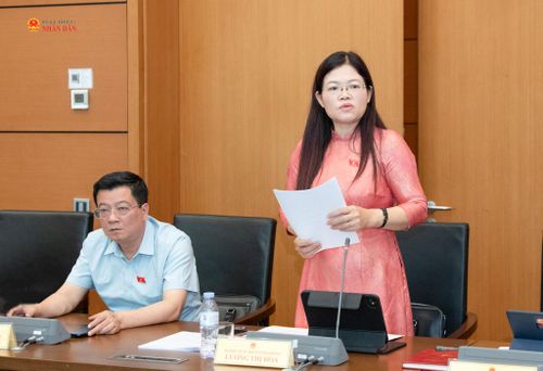 ĐBQH Lương Thị Hoa (Thanh Hóa) phát biểu. Ảnh: Lâm Hiển