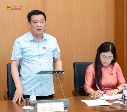 ĐBQH Trần Thế Kính (Thanh Hóa) phát biểu. Ảnh: Lâm Hiển