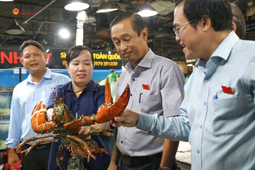 Khuya 4/8, đoàn giám sát HĐND thành phố Hồ Chí Minh có mặt tại chợ đầu mối Bình Điền khảo sát công tác bảo đảm an toàn thực phẩm. Ảnh: Hoa Lê