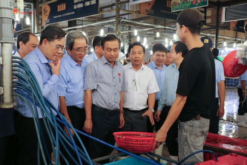 Khuya 4/8, đoàn giám sát HĐND thành phố Hồ Chí Minh có mặt tại chợ đầu mối Bình Điền khảo sát công tác bảo đảm an toàn thực phẩm. Ảnh: Hoa Lê