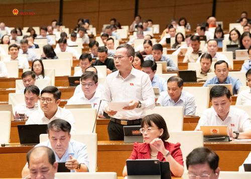 ĐBQH Đồng Ngọc Ba (Gia Lai) phát biểu. Ảnh: Lâm Hiển
