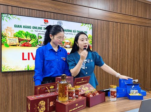 Bí thư Đoàn Thanh niên xã Thanh Trì Hoàng Minh Hằng (bên phải) trực tiếp giới thiệu sản phẩm.