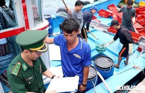 Lực lượng chức năng tăng cường thanh tra, kiểm tra việc xác nhận nguồn gốc thủy sản khai thác. Ảnh: Duy Ngọc.