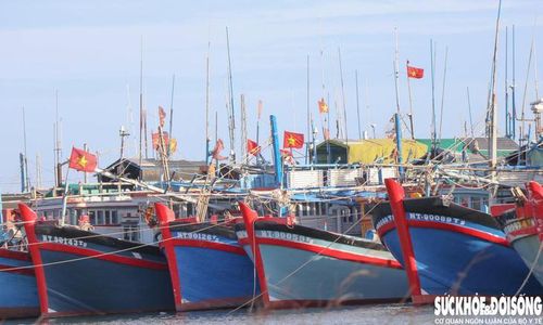 Việc xử lý các tàu cá không báo cáo vị trí khi neo đậu hoặc ngừng khai thác dài ngày cũng còn nhiều vướng mắc. Ảnh: Duy Ngọc.